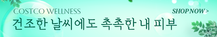 웰니스