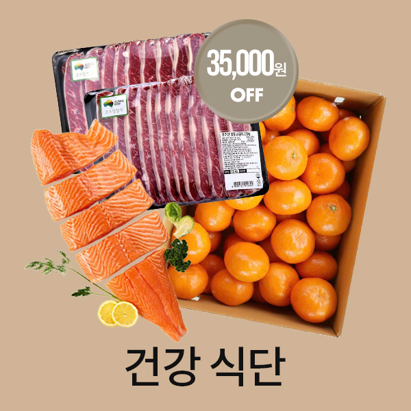 식단
