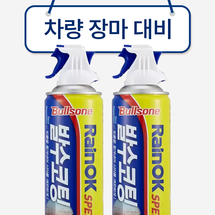 차량장마대비