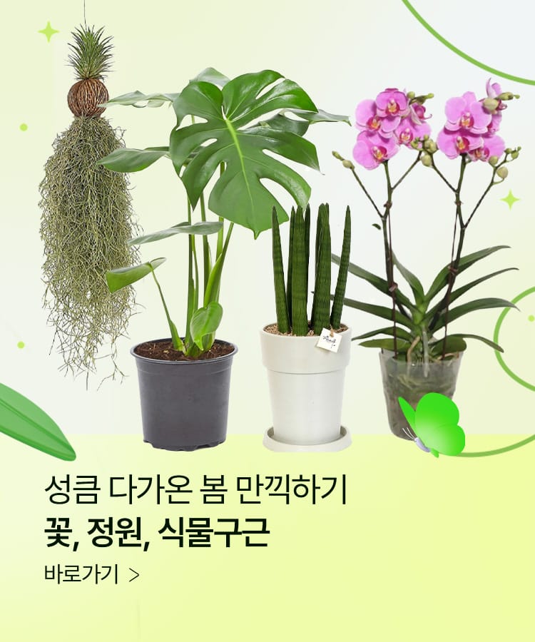 꽃, 정원, 식물구근