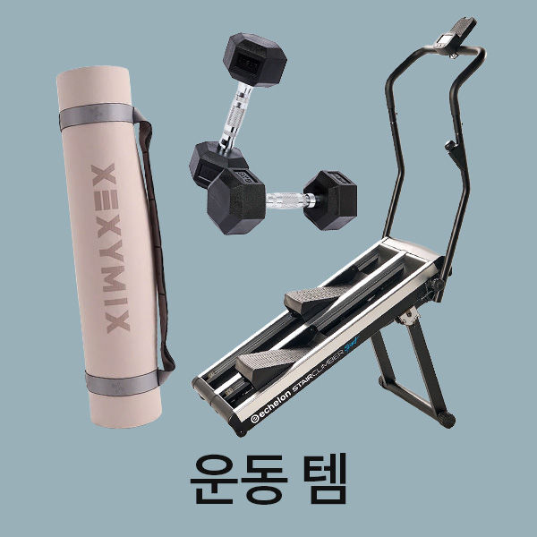 운동템